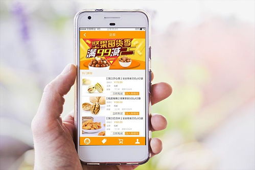 浙江零食电商app开发定制功能案例